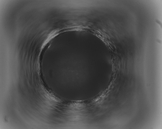 X0000091240198200708301546