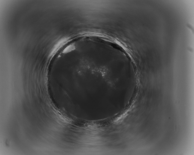 X0000091240199200708301546