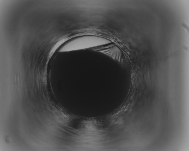 X0000091240200200708301546