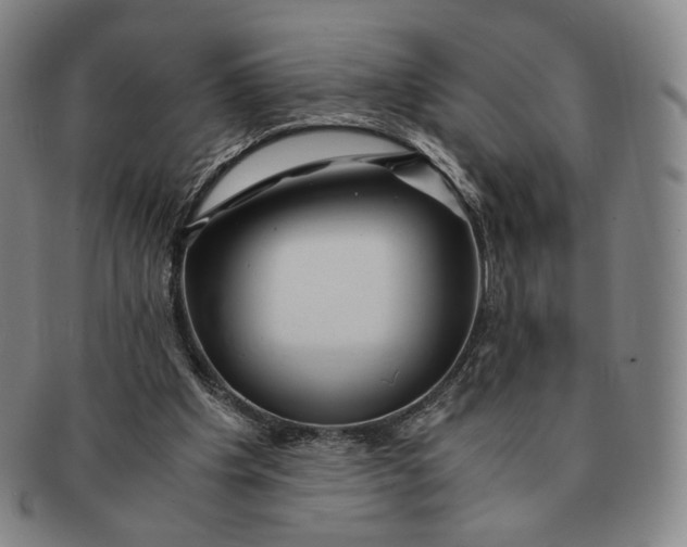 X0000091240201200708301546