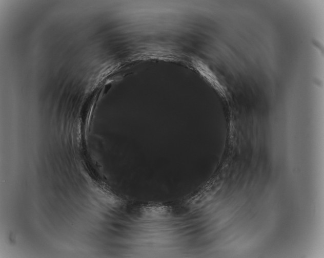 X0000091240202200708301546