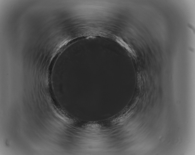 X0000091240203200708301546