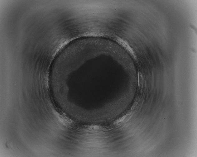 X0000091240204200708301546