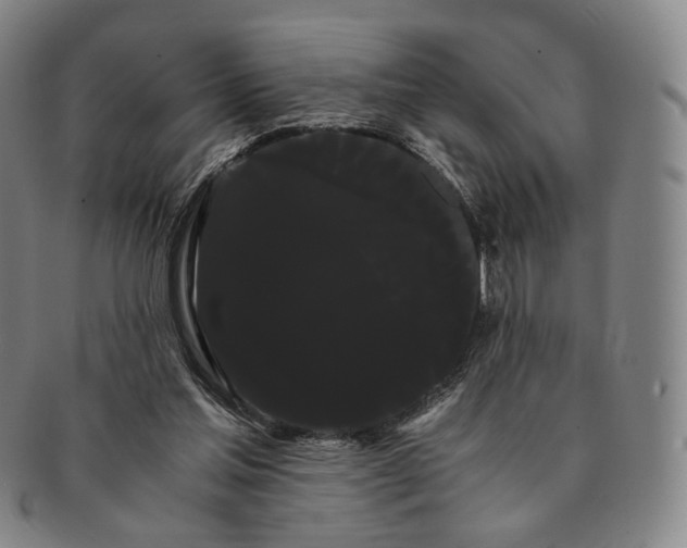 X0000091240205200708301546