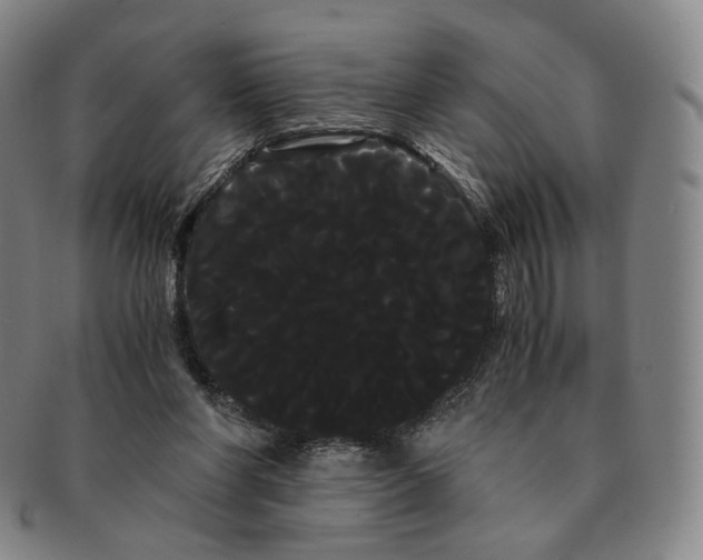 X0000091240206200708301546