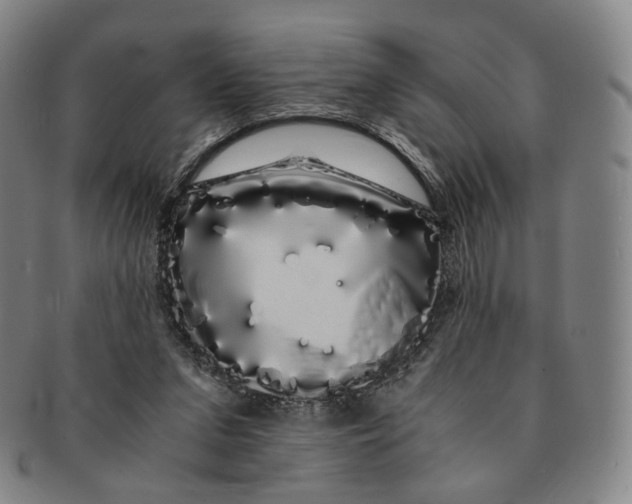 X0000091240207200708301546