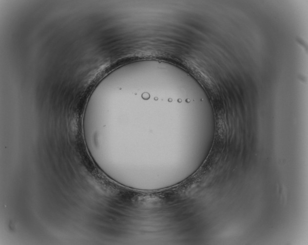 X0000091240208200708301546