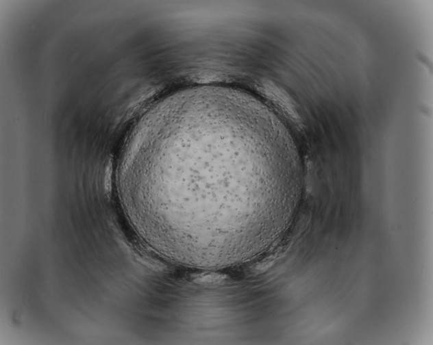 X0000091240210200708301546