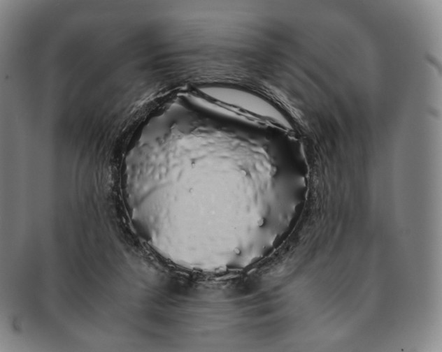 X0000091240211200708301546