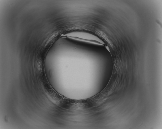 X0000091240212200708301546