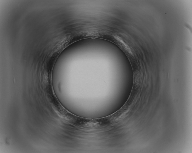 X0000091240213200708301546