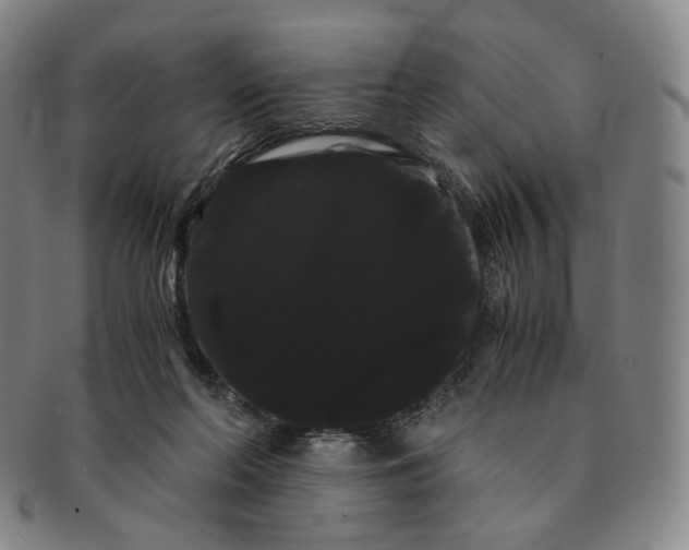 X0000091240214200708301546