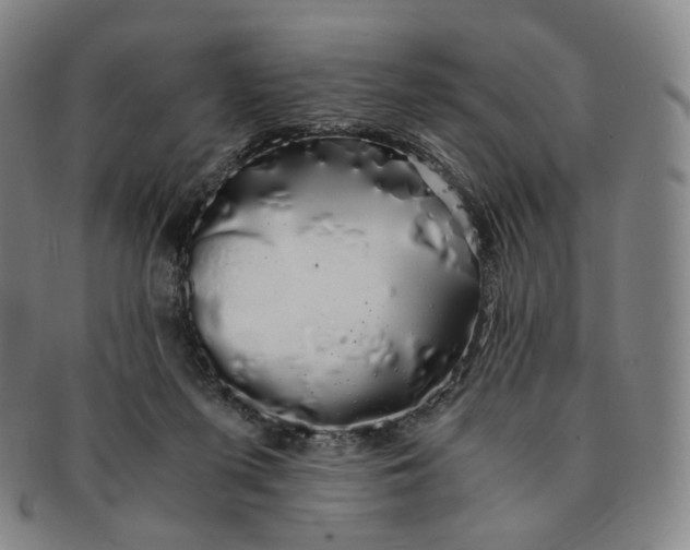 X0000091240215200708301546