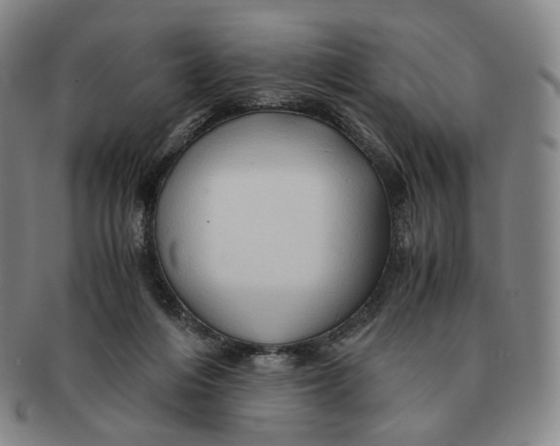 X0000091240216200708301546