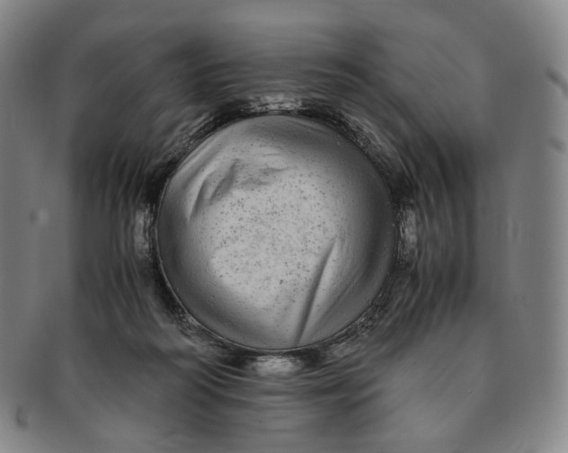 X0000091240218200708301546