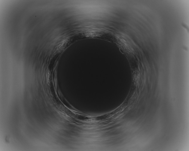 X0000091240219200708301546