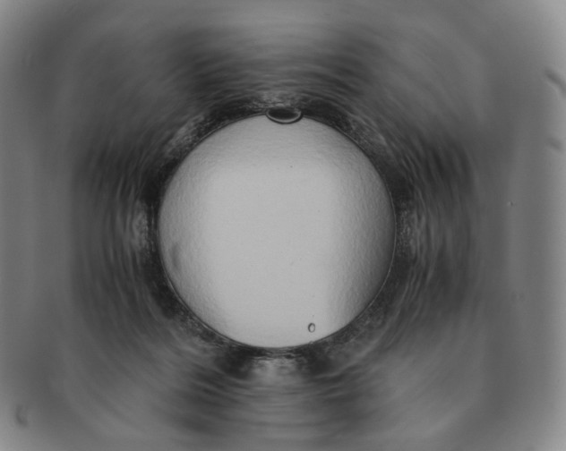 X0000091240220200708301546