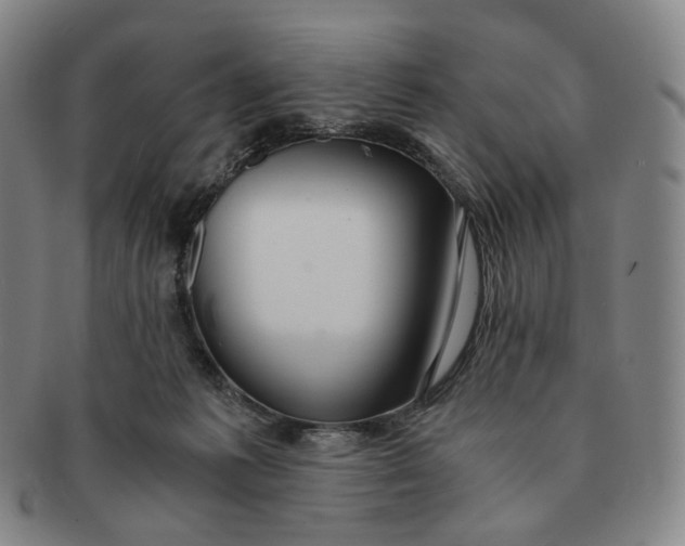 X0000091240221200708301546