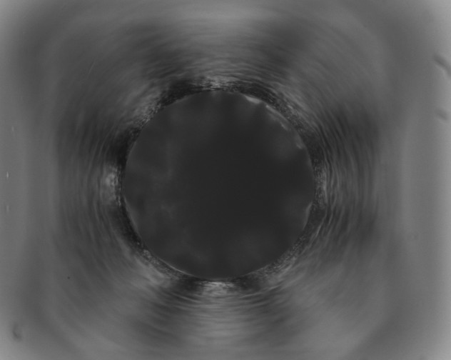 X0000091240222200708301546