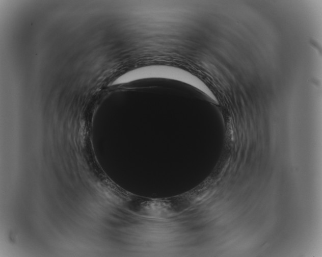 X0000091240223200708301546