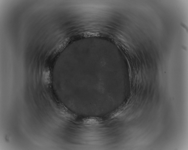 X0000091240224200708301546