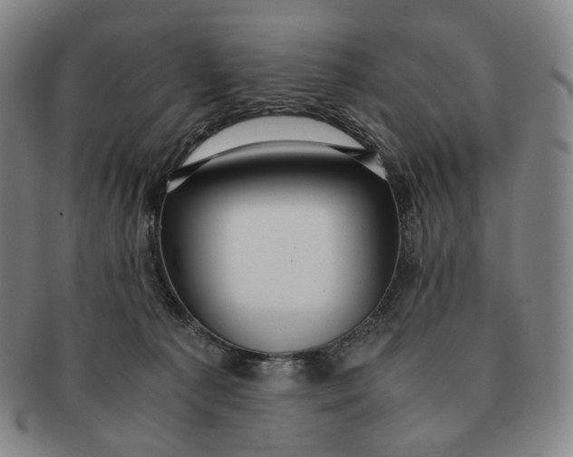 X0000091240225200708301546