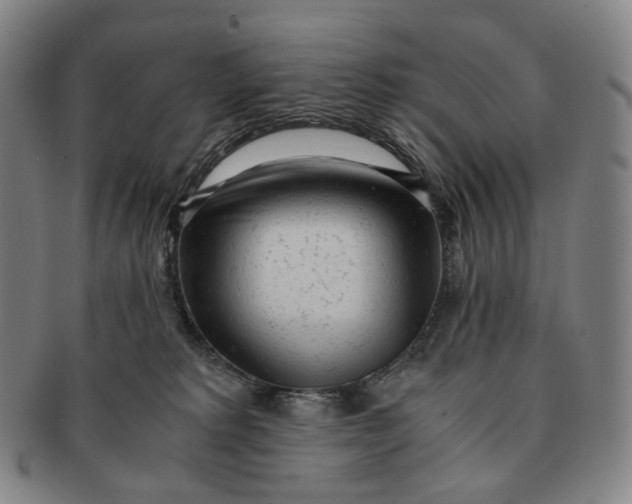 X0000091240229200708301546