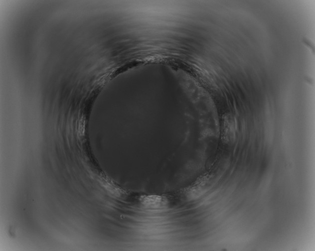 X0000091240230200708301546