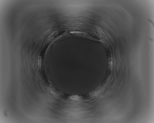 X0000091240231200708301546