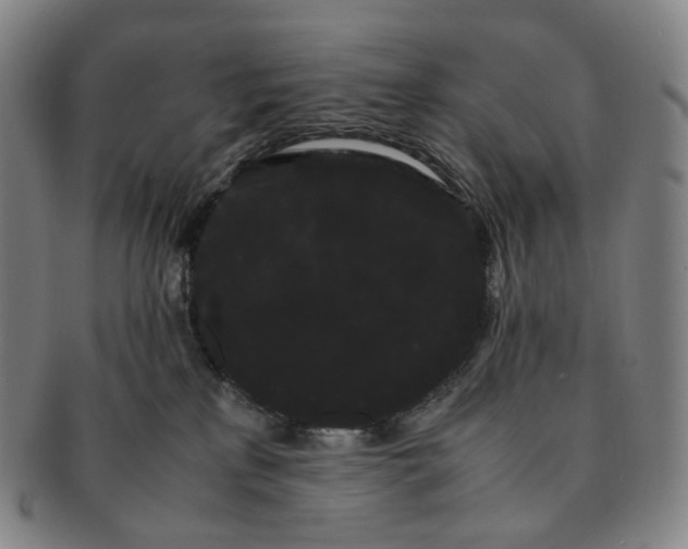 X0000091240233200708301546