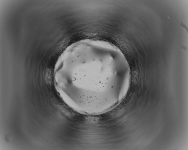 X0000091240234200708301546