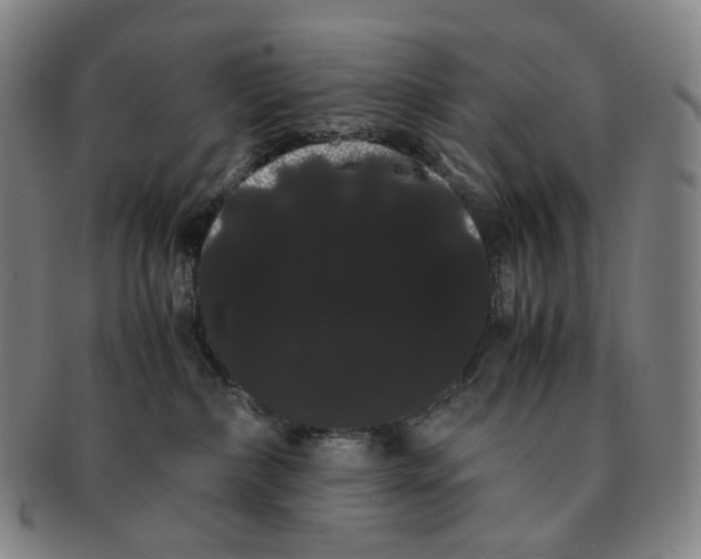 X0000091240236200708301546