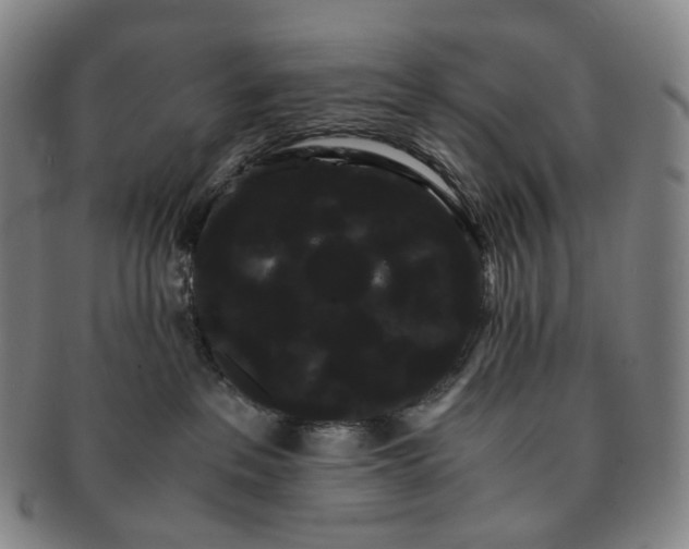 X0000091240237200708301546