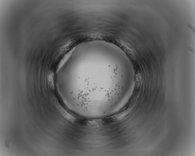 X0000091240238200708301546