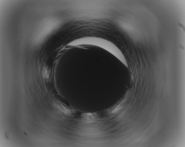 X0000091240239200708301546