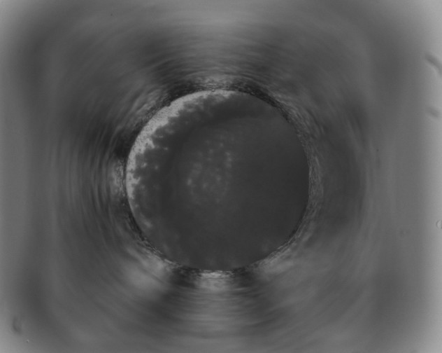 X0000091240240200708301546