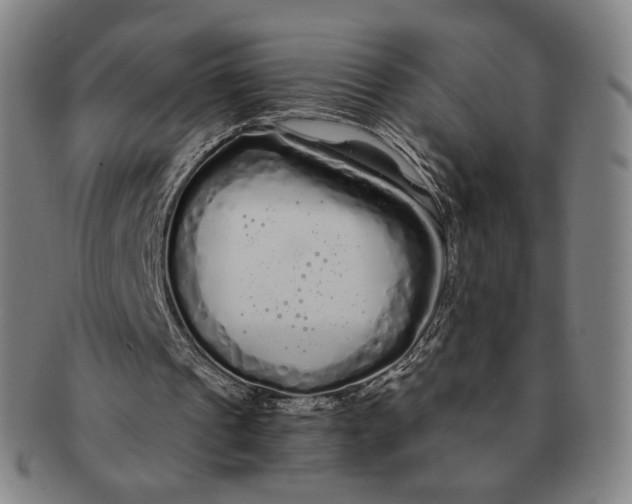 X0000091240241200708301545