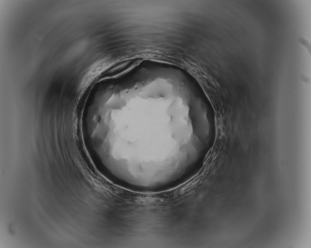 X0000091240242200708301545