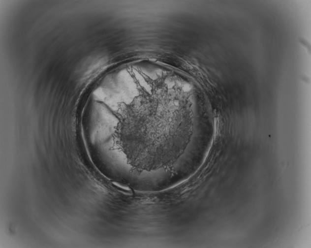 X0000091240243200708301545