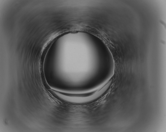 X0000091240244200708301545