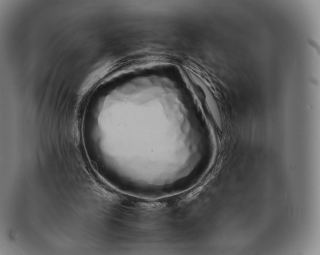 X0000091240245200708301545