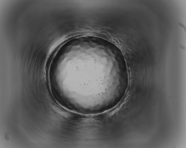 X0000091240246200708301545