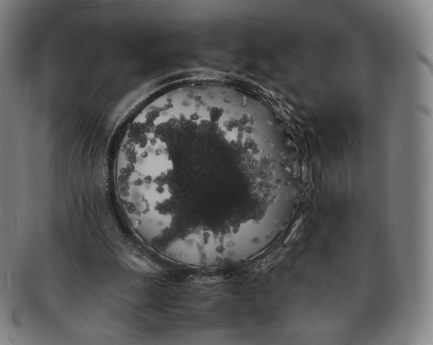 X0000091240247200708301545