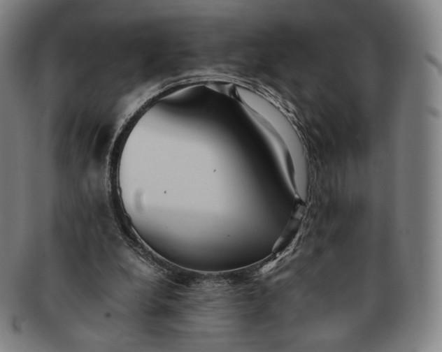 X0000091240248200708301545