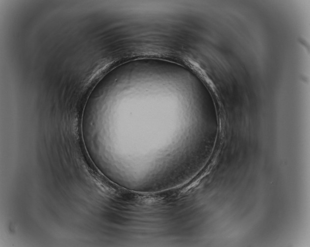 X0000091240249200708301545