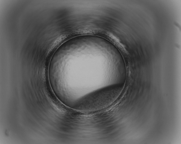 X0000091240250200708301545