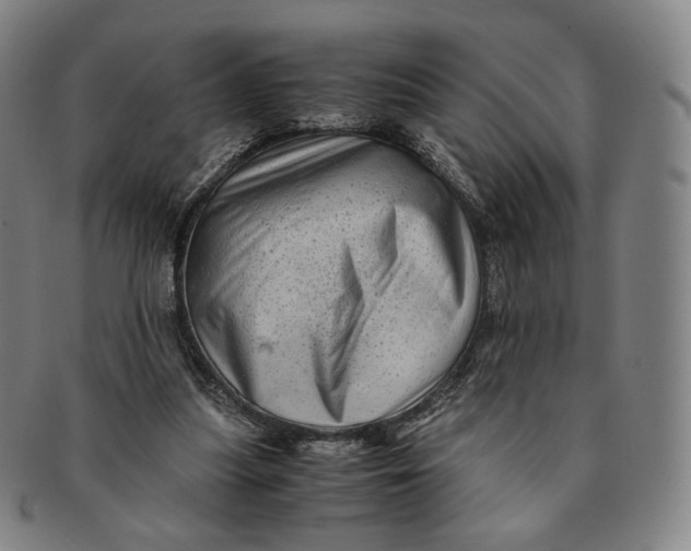 X0000091240251200708301545