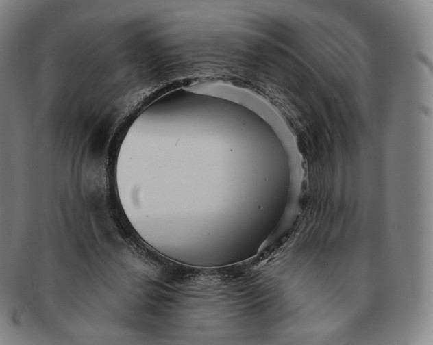 X0000091240252200708301545