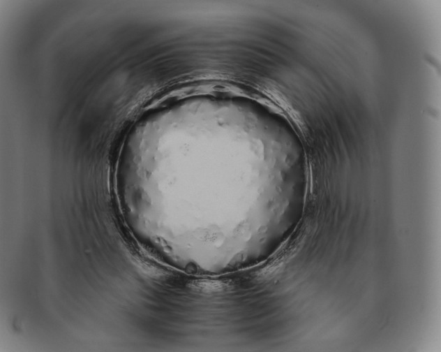 X0000091240253200708301545