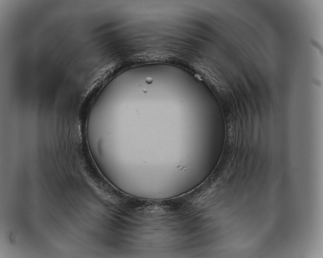 X0000091240254200708301545